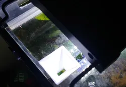 Fish Food Funnel