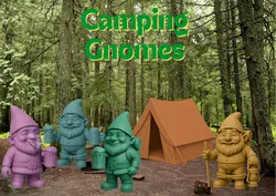 Gnomes Out Camping Trip