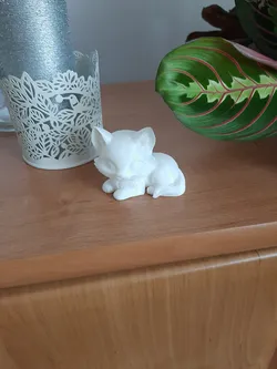 Lying kitten