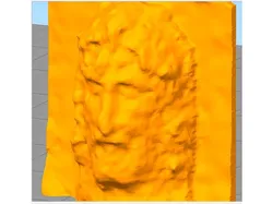 Christ Shroud face from the Turin  shroud