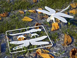 Dragonfly Gift Card Toy