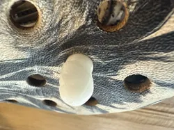 the rock croc charm