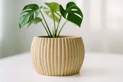 Bamboo Planter - Botany Chic - Home Decor