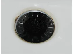Simple Customizable Drain Sieve