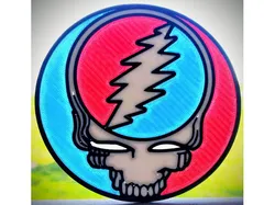 Steal Your Face