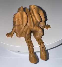Walnuss - walnut - ceviz