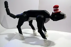 cAT-hAT