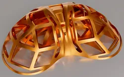 Celestial Husk