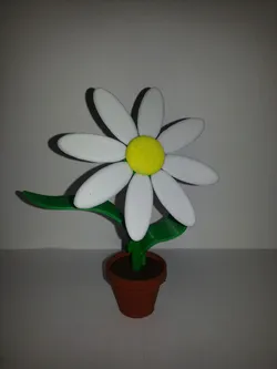 FlowerKit-Daisy