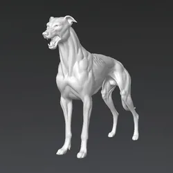 Greyhound 3D Model | Greyhound Dog 3D Model for 3D Print – Greyhound Head 3D Model, Greyhound 3D Print Model, Greyhound 3D Print File & Greyhound STL File