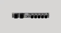 Panda Branch