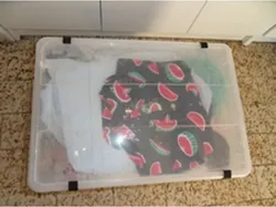 Clip Box IKEA SAMLA