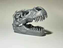 Dinosaur T-Rex Skull