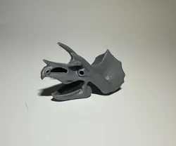 Dinosaur Trizeratops Skull