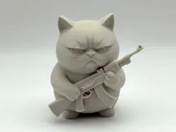 Grumpy Rifle Kitten