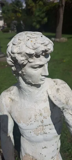 David