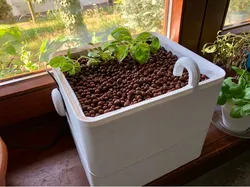 Hydroponic Flooding Box