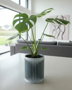 3D Effect Flower Pot / Planter