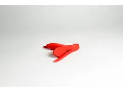 Clitoris FGM/C Model
