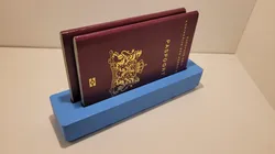 Gridfinity Passport Storage – 2 passports