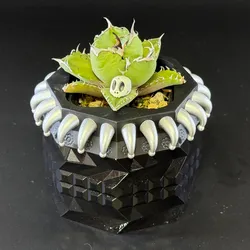 【TAKETANK.21】flower pot