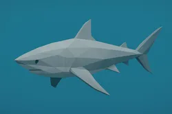 Low poly shark