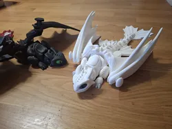 Toothless' girlfriend