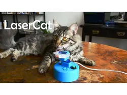 LaserCat