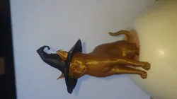 Halloween Cat