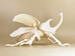 Rhino beetle Lamp