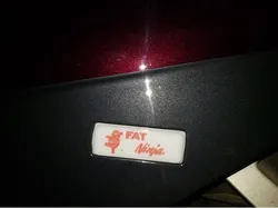 zg1000.fatNinja window