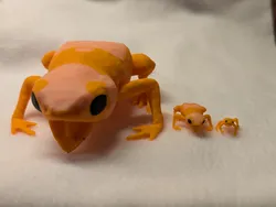 Pumpkin Toadlet (large, screaming)