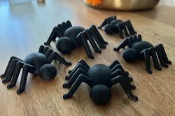 Spider