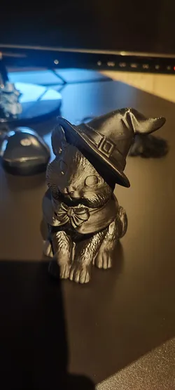 Wizard Cat