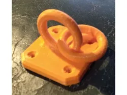 Hasp and Captive Ring