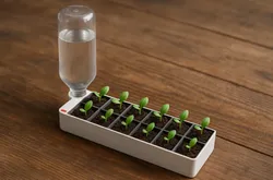seed pot 2 better