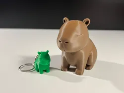Cute Capybara