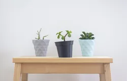 The Little Leaning Plant Pot
