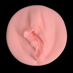3D Realistic Pussy Art (64) Wall Art - No Supports