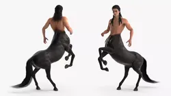 Creature Long Hair Centaur Rigged for Maya 3D model