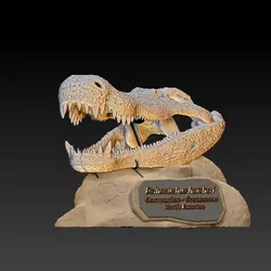 Deinosuchus hatcheri Skull