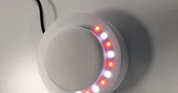 Open-Bouton
