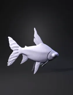 silver scaled fish with orange fins