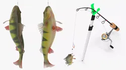 Spinning Rod in Holder with Yellow Perch Catch 3D model