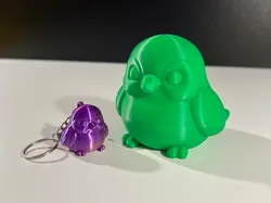 Cute Bird