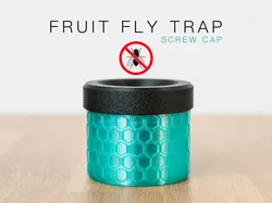 Fruit Fly Trap