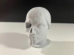 Masked Skull