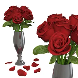 rose flowers