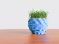 Coral Planter