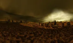desert camel team